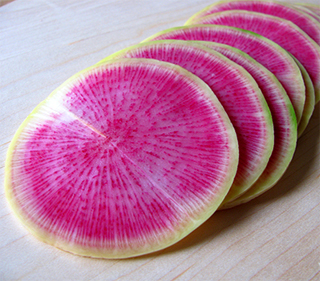 Watermelon radish slices