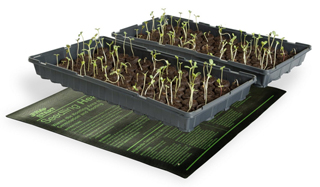 Heat mat with growing trays